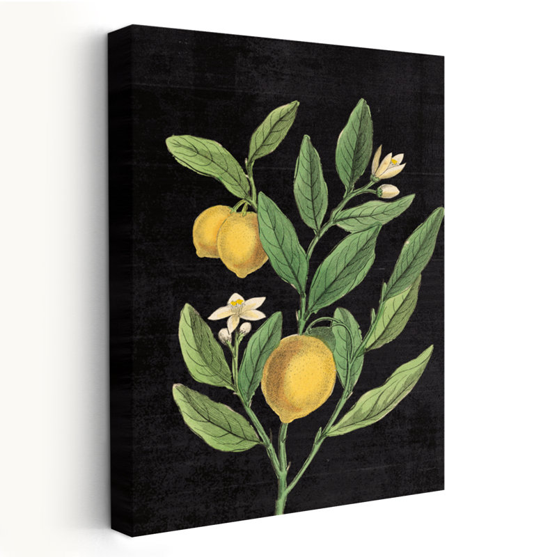 Fleur d'agrume classique classique noir sans mots noir contemporain, H 24 po x l 16 po