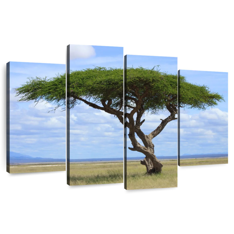 Acacia Tree In Savannah, 54" H x 84" W