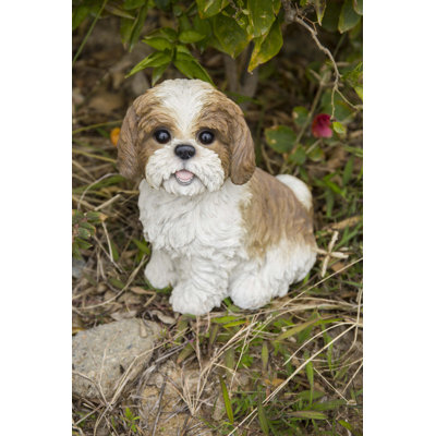 Statue chien assis Shih Tzu