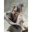 Bacchante on a Panther Woman Statue