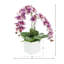 Orchid Arrangement in Square Fiberstone Pot-808760903