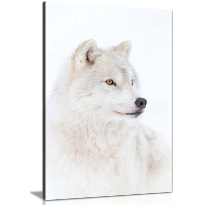 Arctic Wolf - Wrapped Canvas Print