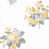 White/Yellow selected