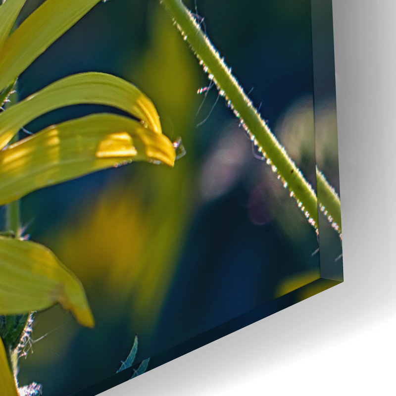 «The Monarch and the Sunflower» par Rick Berk, art mural en verre acrylique, H 12 po x l 16 po x P 0,13 po