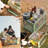 Extra Large Collapsible Storage Box Bin, 5 Side Clear Open Access Stackable w/ Lid-1805913307