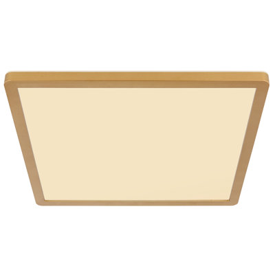 Plastic LED Flush Mount
