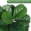 Figuier à figuier artificiel avec 48 feuilles - Faux ficus lyrata réalistes dans un pot à fleurs gris de 7,8 po, plantes d'intérieur pour faux plancher-1074149205-1074149206