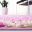Tapis rose / ivoire Alonnah-1844468018