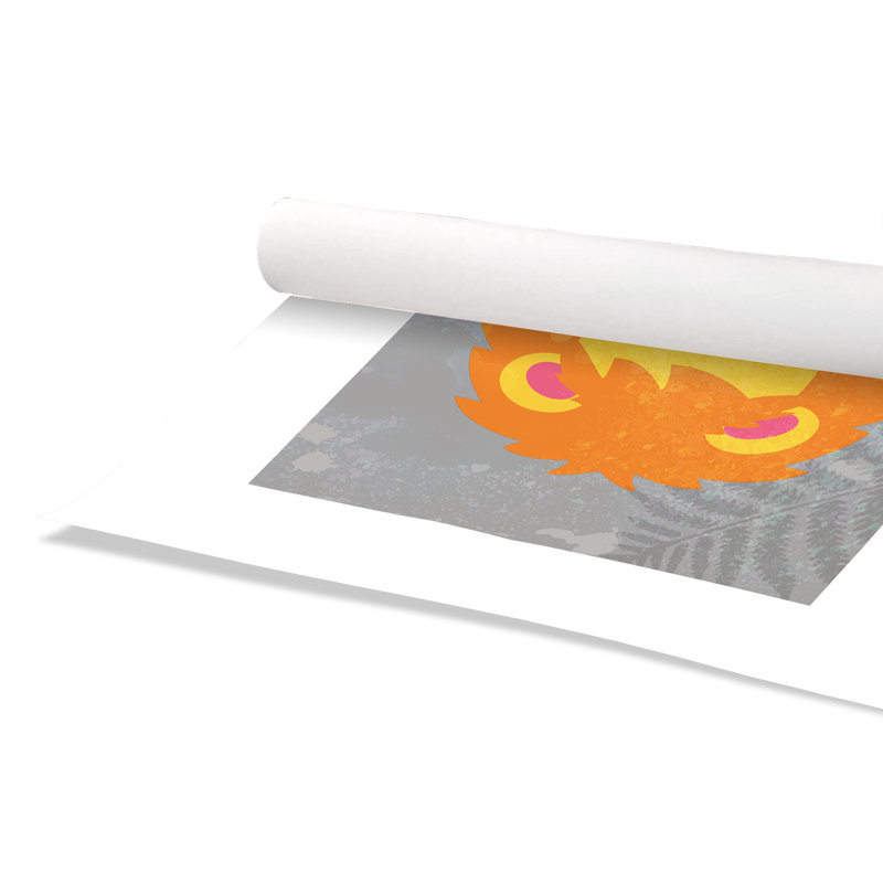 Impression sur papier Lion Way, H 24 po x l 20 po x P 1 po, Papier