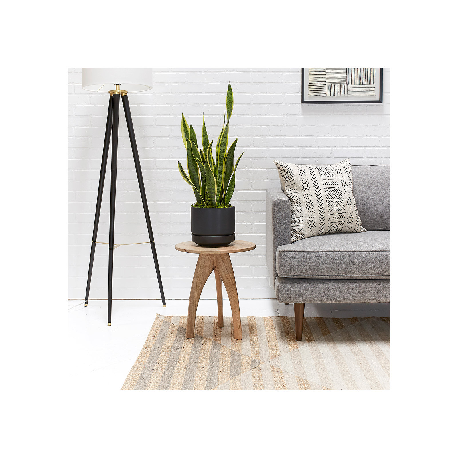 Byer Handmade Ceramic Pot Planter, Black, 7.5" H x 8.75" W x 8.75" D