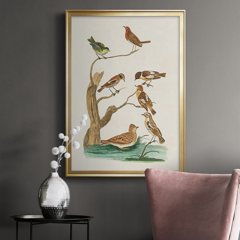 «Antique Birds In Nature III», reproduction encadrée de qualité supérieure - prête à être accrochée, Or