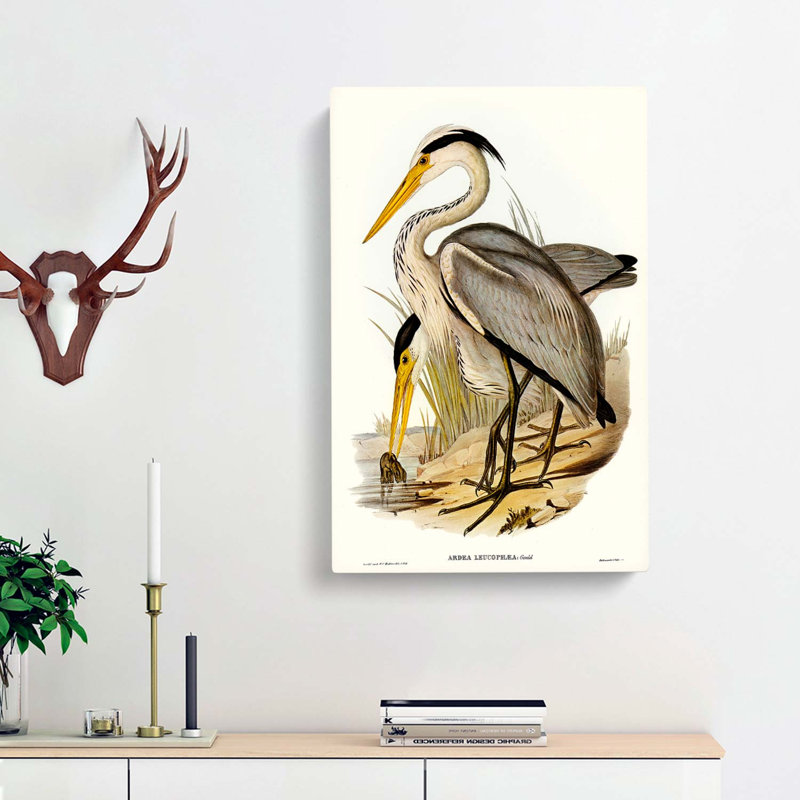 Great Grey Herons by Elizabeth Gould - Wrapped Canvas, 76cm H x 50cm W x 3cm D