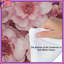 Édredon rose pivoine-124116957
