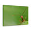 No Frame Print on Canvas-1048156652