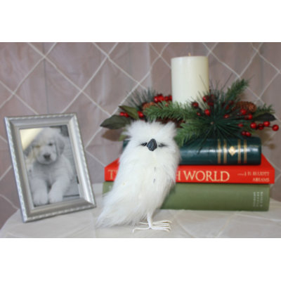 Hibou pour neige debout