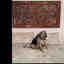 Photos des clients 1 de 1