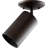 Hayward Hardwired Outdoor Security Ceiling Mount