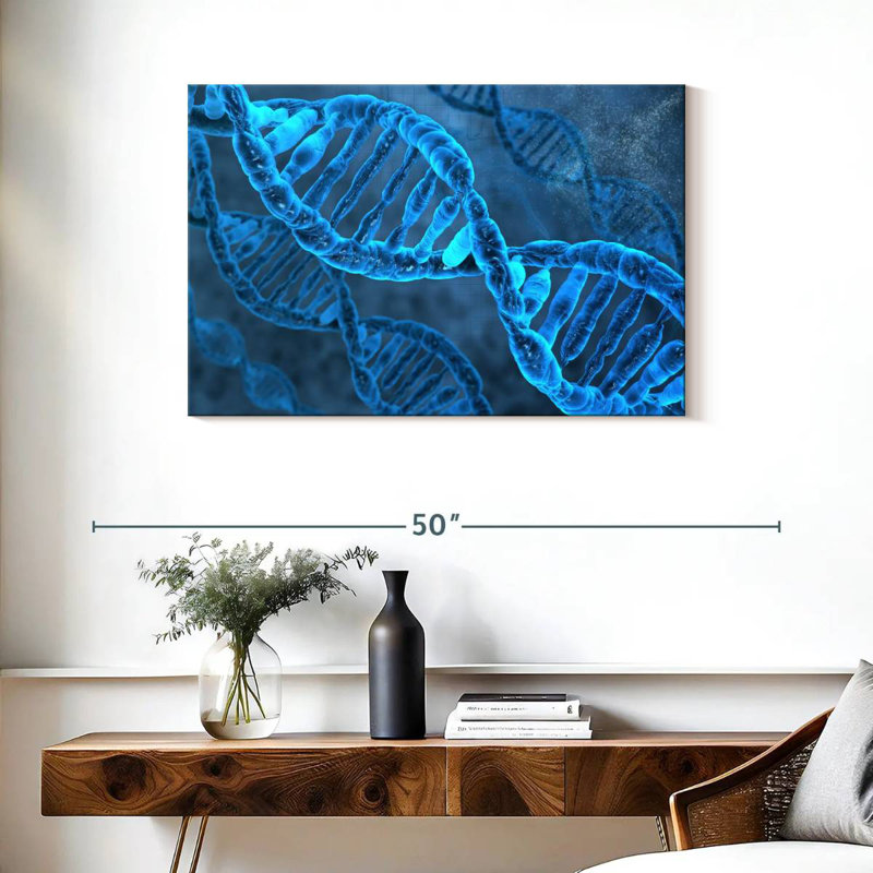 Keiri DNA Molecules