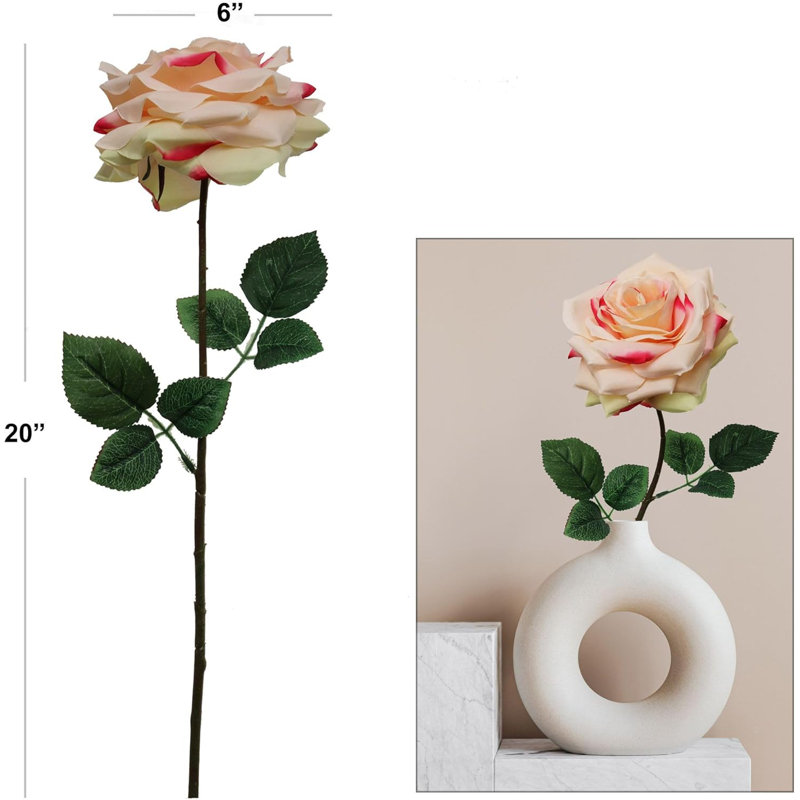 Tiges de roses vibrantes