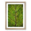Leaf Lines - Framed Print-56852665-56852666