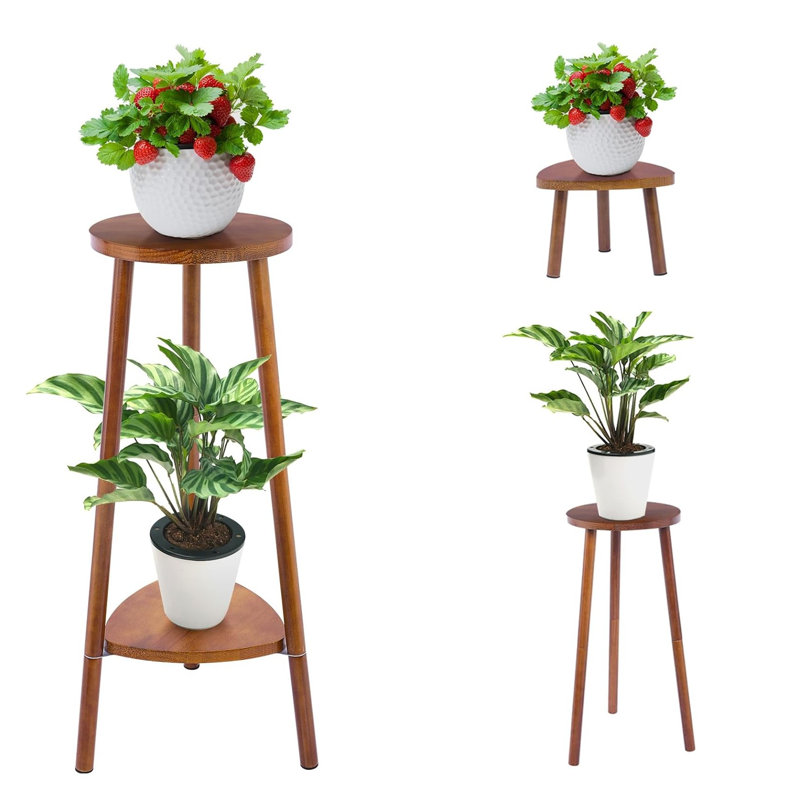 Plant Stand