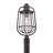 Edelina Seeded Lantern Head