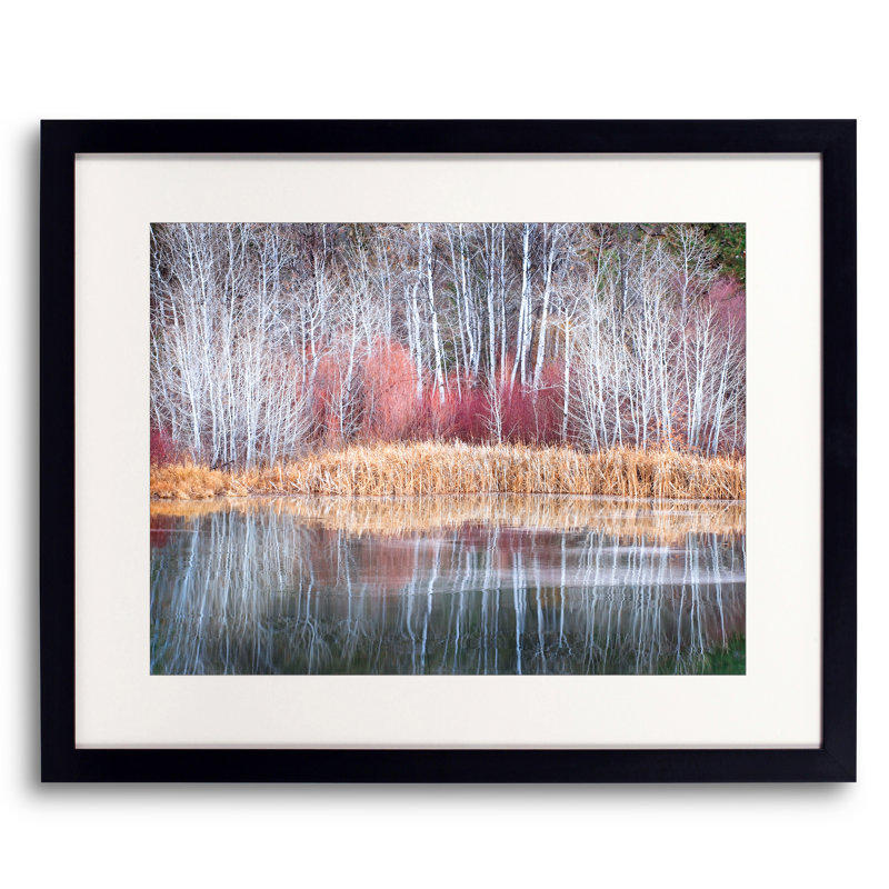 Winter Aspen Grove And Pond Print by Bruce Heinemann, 16" H x 20" W