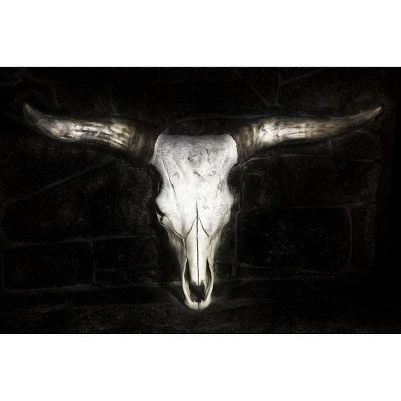 Cow Skull - Graphic Art, 61 cm H x 91 cm W, Wrapped Canvas