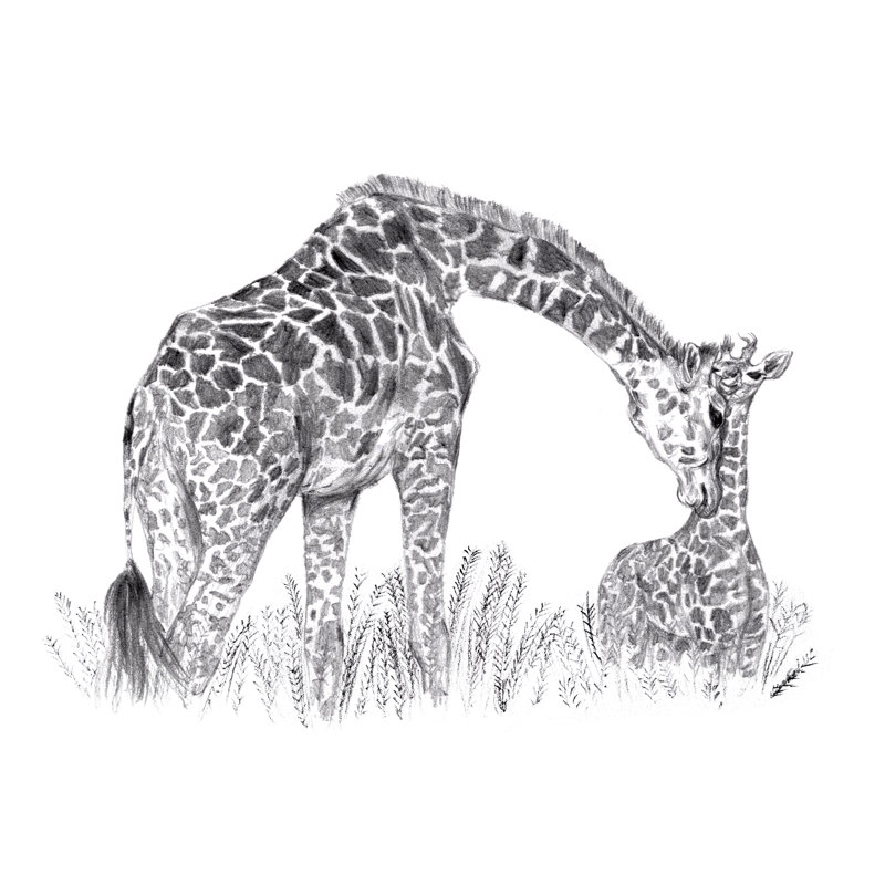 New Beginnings II - Wrapped Canvas Print, 20cm H x 30cm W
