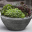 Handmade Planter-138385883