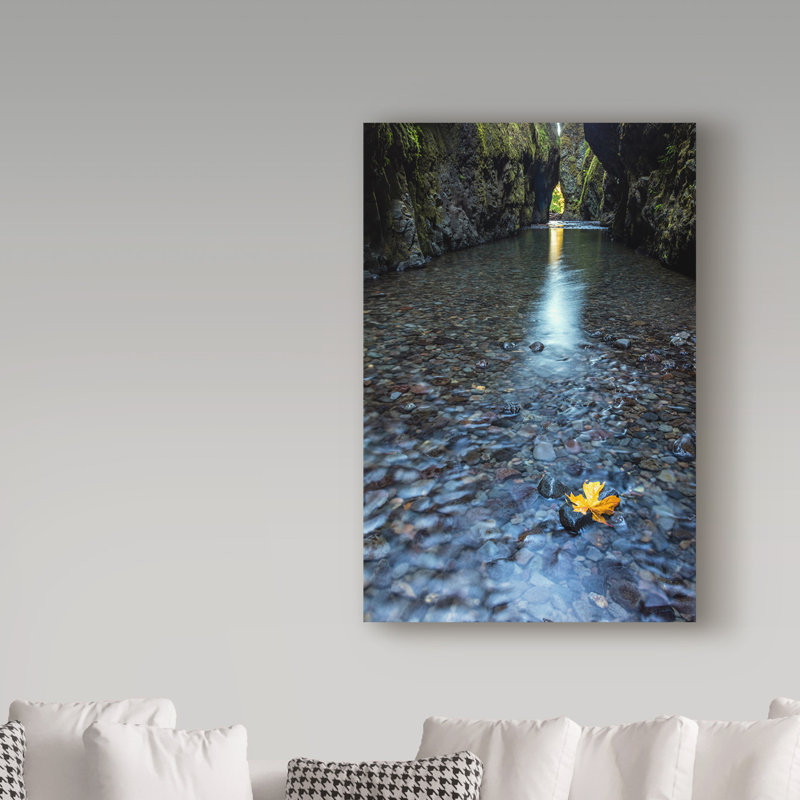 Fabrizzio «Hanging On», reproduction de photo sur toile tendue, H 19 po x l 12 po x P 2 po