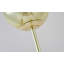 Transitional 1 Light Gold Orb Floor Lamp