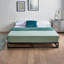 Metal Platform Bed with Mattress-95809423