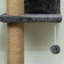 Cat Wall Furniture with 4 Perch Platforms for Indoor, Dark Grey