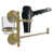Satin Brass