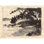 Rural Studies 4 Print by Ngo, PC