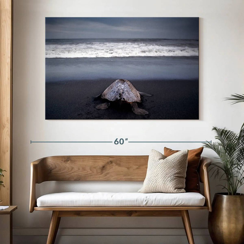 Brampt Ridley Sea Turtle, 34" H x 51" W