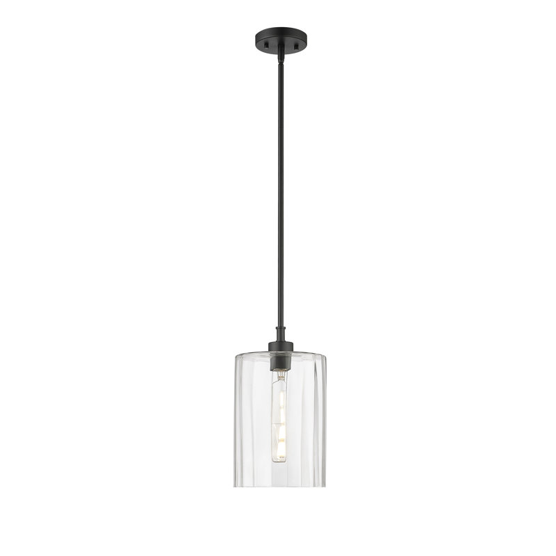 Latitude Run® Raelena 1 Light Pendant Light with Clear Beveled Glass Shade, Matte Black