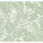 Papier peint feuilles de palmier Brentwood-196680267