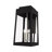 Antionetta Wall Light