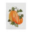 «Pumpkin and Vines I», reproduction d'impression sur toile tendue-33413744