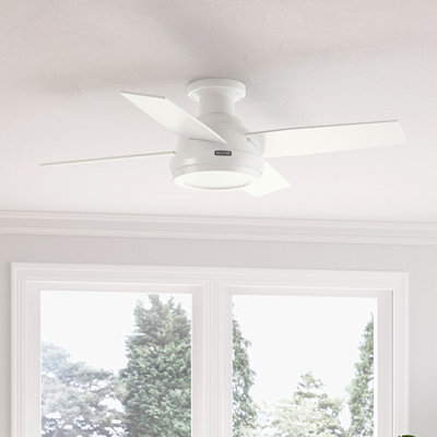 Hunter 44 inch Dempsey Low Profile Ceiling Fan and Handheld Remote