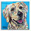 «Furry Dog Friend 1» par Carolee Vitaletti, art mural en verre acrylique-705078451
