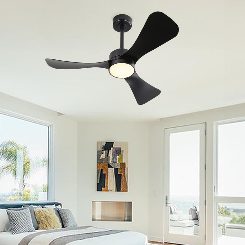 Boun 42'' Ceiling Fan with LED Lights, Black, Black