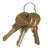 Omnimed 7'' W Gold Key Chain