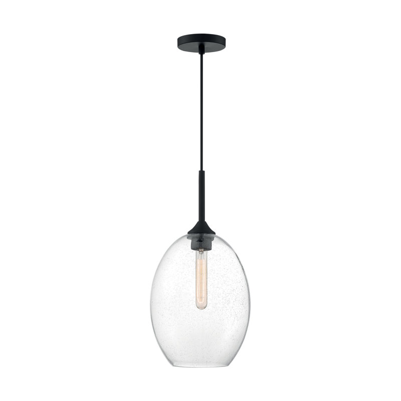 Luminaire suspendu à 1 lumière Paule, Noir mat, H 19,13 po x l 9,63 po x P 9,63 po