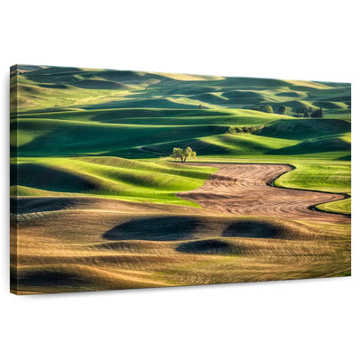 Alvord My Favorite Lone Tree In The Palouse