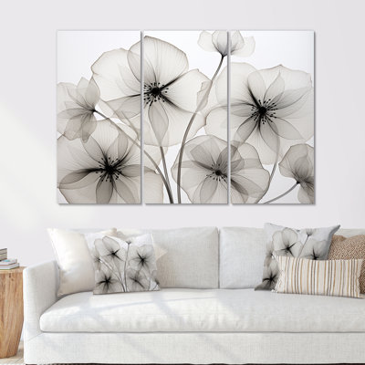 Black And White Morning Glory Speed - Morning Glory Canvas Wall Art Set