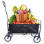 Chariot de plage pliable