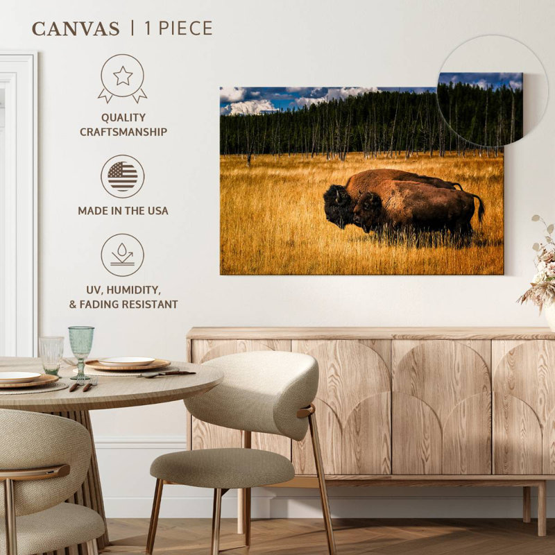 Brampt Bison In Summer, 24" H x 36" W